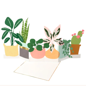 [MeriMeri] 메리메리 / 카드 / Potted Plant Blank Card